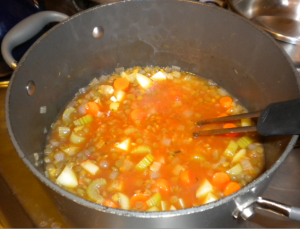 blog photo baby lentil stew